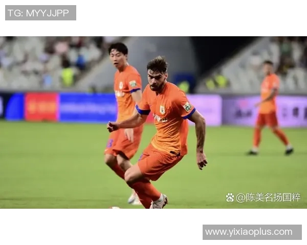 南京排球队实力引发热议球迷对球队表现的看法与争论